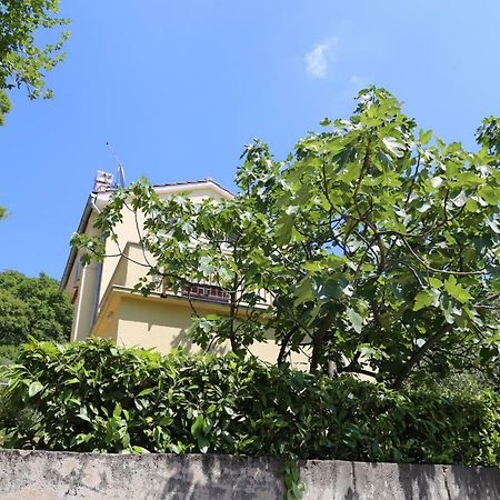 New, Sunny Apartment Surrounded By Nature Omišalj Zewnętrze zdjęcie