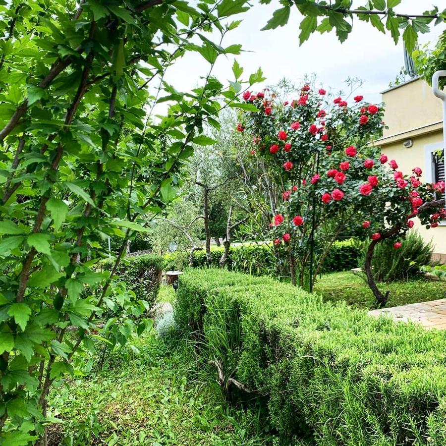New, Sunny Apartment Surrounded By Nature Omišalj Zewnętrze zdjęcie